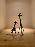 Bronze Giraffe - Black