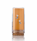 BergZA Earrings