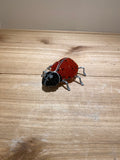 AM’s Beaded Ladybug