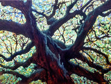 Forest Edge Art Card