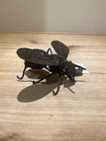 “Honey Bee” by James Suraji
