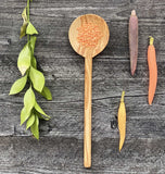 Cooking Spoon of Olivewood
