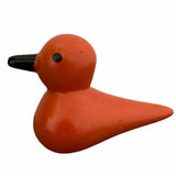 BMFT Bird of Kisii