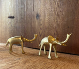 Bronze Elephant
