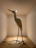 Heron of Jacaranda