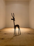 Bronze Springbok