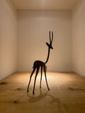 Bronze Springbok