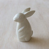 Natural Bunny of Kisii