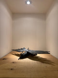 Inyoni/Lightning Bird