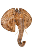 Ellie Bust of Burnt Jacaranda