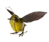 Fluttering Bird of Recycled Metal