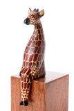 Shelf-Sitting Animal of Jacaranda