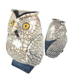 Porcupine Ceramics - Animals