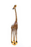 Statuesque Giraffe of Jacaranda