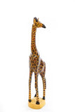 Statuesque Giraffe of Jacaranda