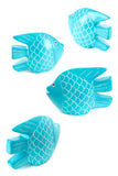 Aqua Fish of Kisii
