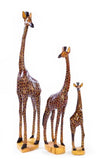 Statuesque Giraffe of Jacaranda