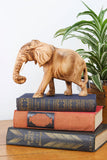 Elephant Carving of Burnt Jacaranda