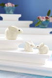 Bunny of Kisii - S