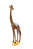 Statuesque Giraffe of Jacaranda